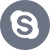 icon_sn_skype